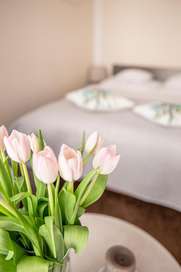 Apartament Bimba & Free Parking بوزنان المظهر الخارجي الصورة