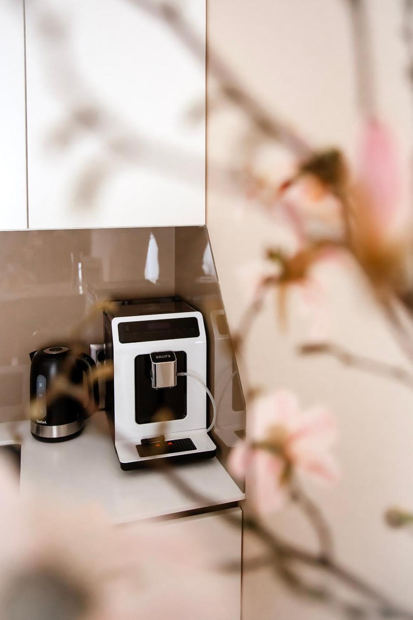 Apartament Bimba & Free Parking بوزنان المظهر الخارجي الصورة
